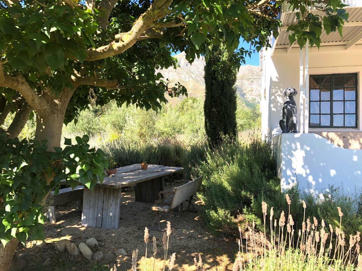 Designer Farm Cottage On Farm Franschhoek Ngoại thất bức ảnh