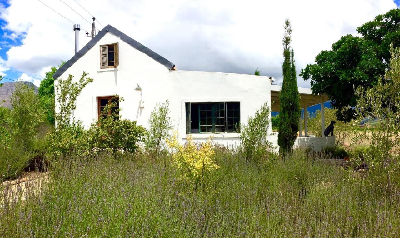 Designer Farm Cottage On Farm Franschhoek Ngoại thất bức ảnh